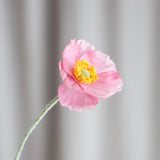 Poppy Flower - Pink