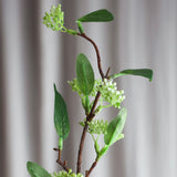 Willow Long Greenery Leave (Imperfects)