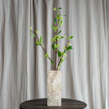 Willow Long Greenery Leave (Imperfects)