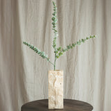 Eucalyptus Blade "Silver Dollar"