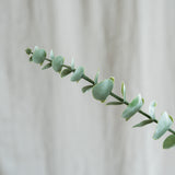 Eucalyptus Blade "Silver Dollar"