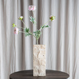 6-Headed Ranunculus - Light Pink