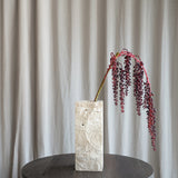 Amaranthus Succulent - Red