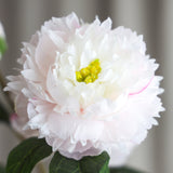 Peony Flower - Light Pink