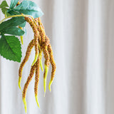 Amaranthus 2 Branches Foliage - Coffee