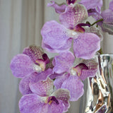 Luxury Butterfly Orchid "Real Touch" - Lavender