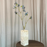 Blueberry Branch