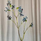 Blueberry Branch