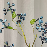 Blueberry Branch