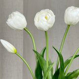 Luxury Tulip Bouquet - White