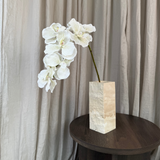 Luxury Butterfly Orchid "Real Touch" - White