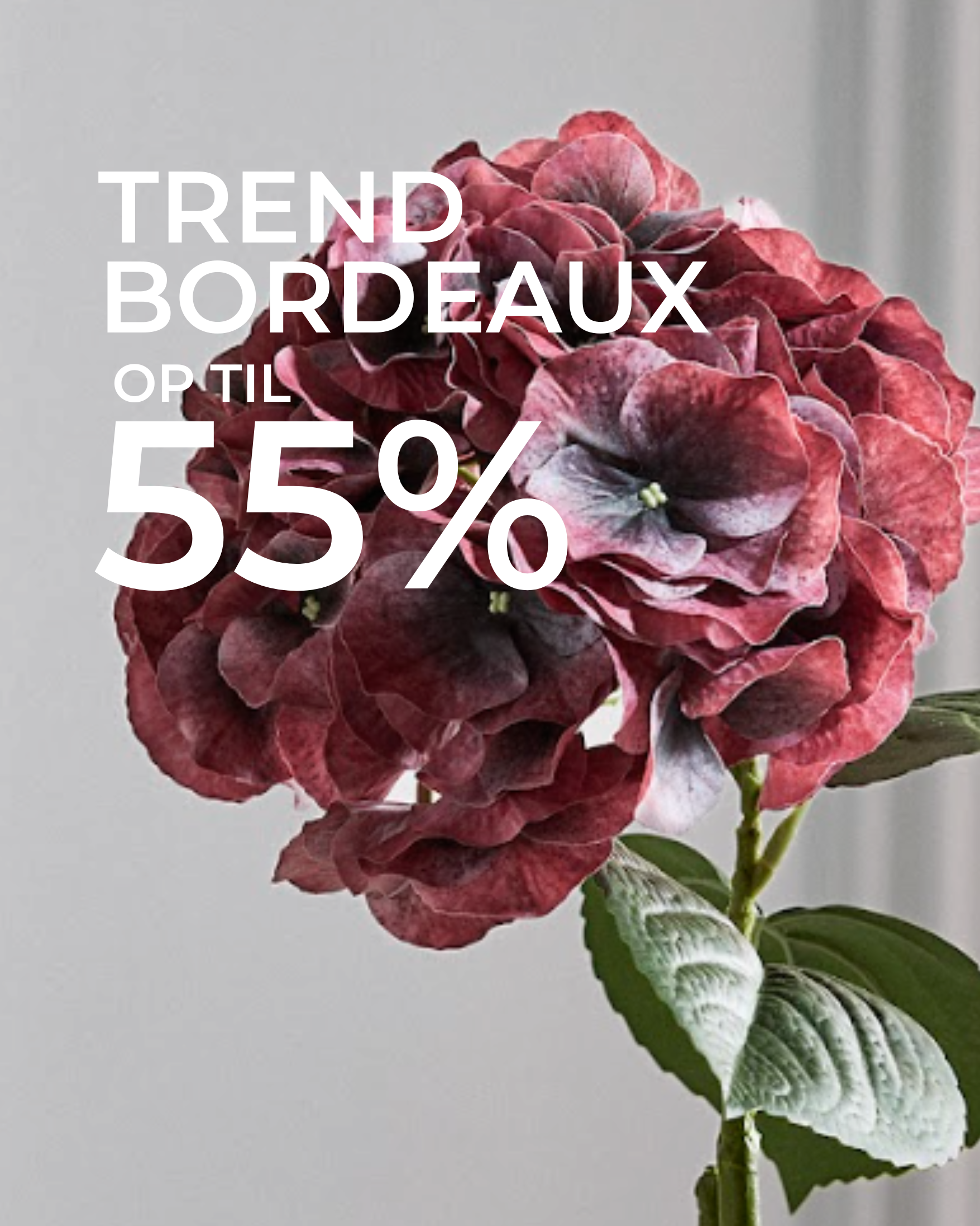 Black Week Bordeaux Blomster