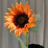 Sunflower - Burnt Orange