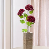 3 Heads Hydrangea Snowball - Burgundy