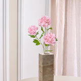 3-Heads Hydrangea "Snowball" - Light Pink