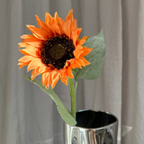 Sunflower - Burnt Orange