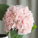 Hydrangea Flower - Pink