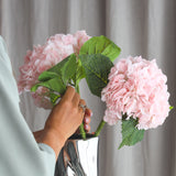 Hydrangea Flower - Pink