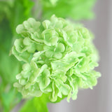 3 Heads Hydrangea Snowball - Green