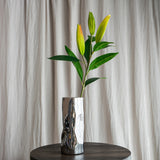Lily Flower Bud