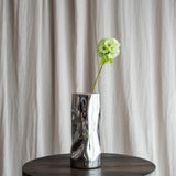 Scabiosa Flower - Green