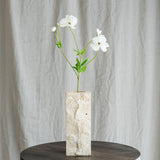 Butterfly Ranunculus - White