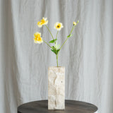 Butterfly Ranunculus - Butter Yellow