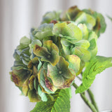 Vintage Large Hydrangea - Green