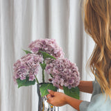 Hydrangea Flower - Purple
