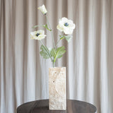 Anemone Flower