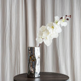 Butterfly Orchid - White