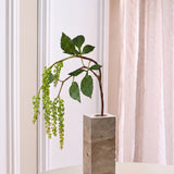 Amaranthus Berry Branch - Green