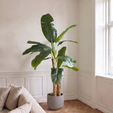 Lifelike Artificial Banana Palm (180 cm)