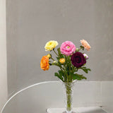 Ranunculus Bouquet - Colorful