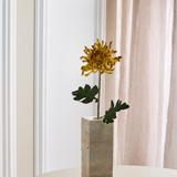 Large Chrysanthemum - Brown