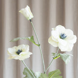 Anemone Flower