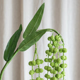 Amaranthus "Lover's Tear" Flower