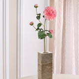 Dahlia Stem - Creme Pink