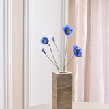 Opium Poppy - Dark Blue