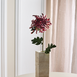 Large Chrysanthemum - Bordeaux