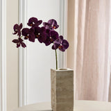 Luxury Butterfly Orchid "Real Touch" - Bordeaux