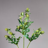 Thistle Stem - Green