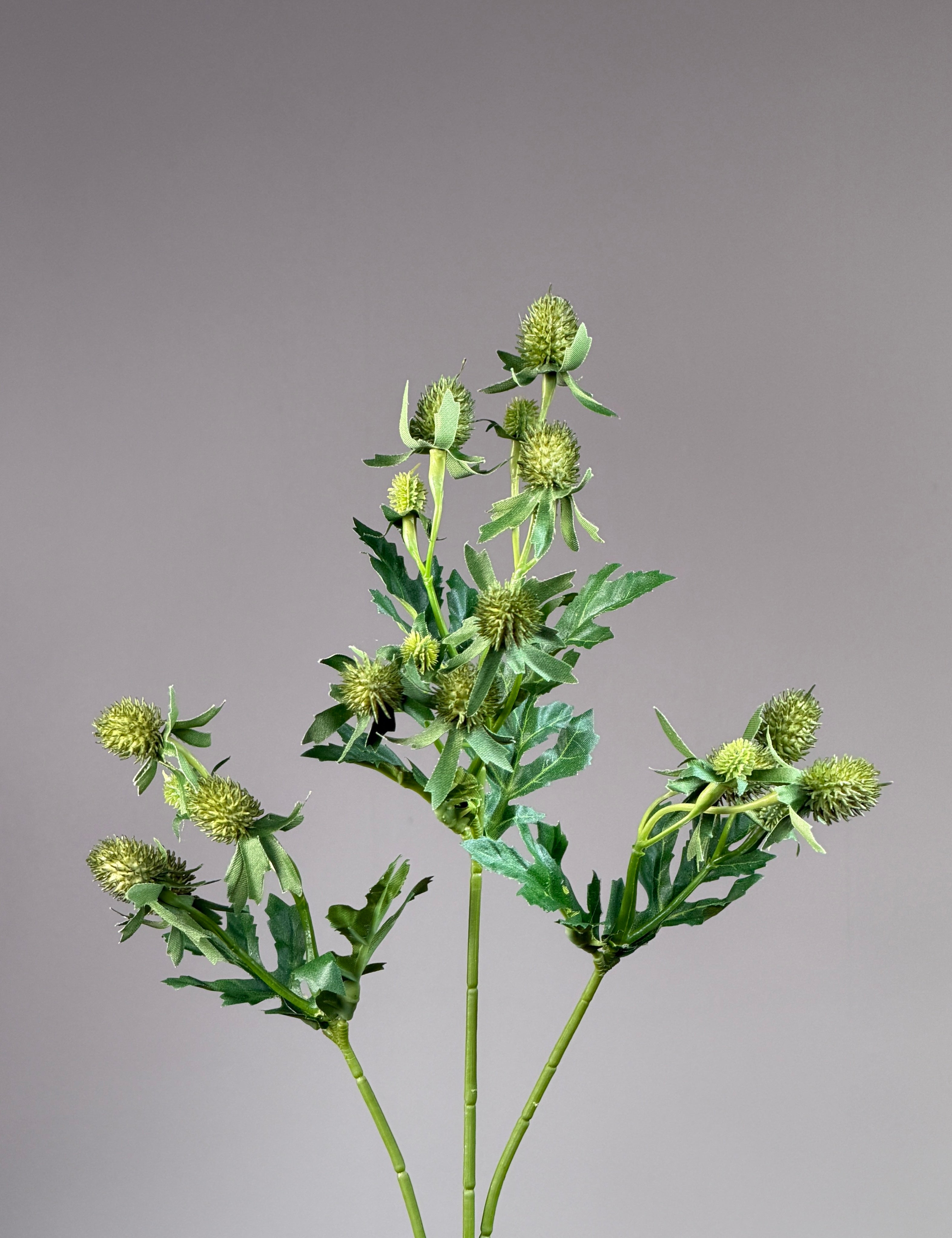 Thistle Stem - Green