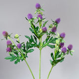 Thistle Stem - Purple