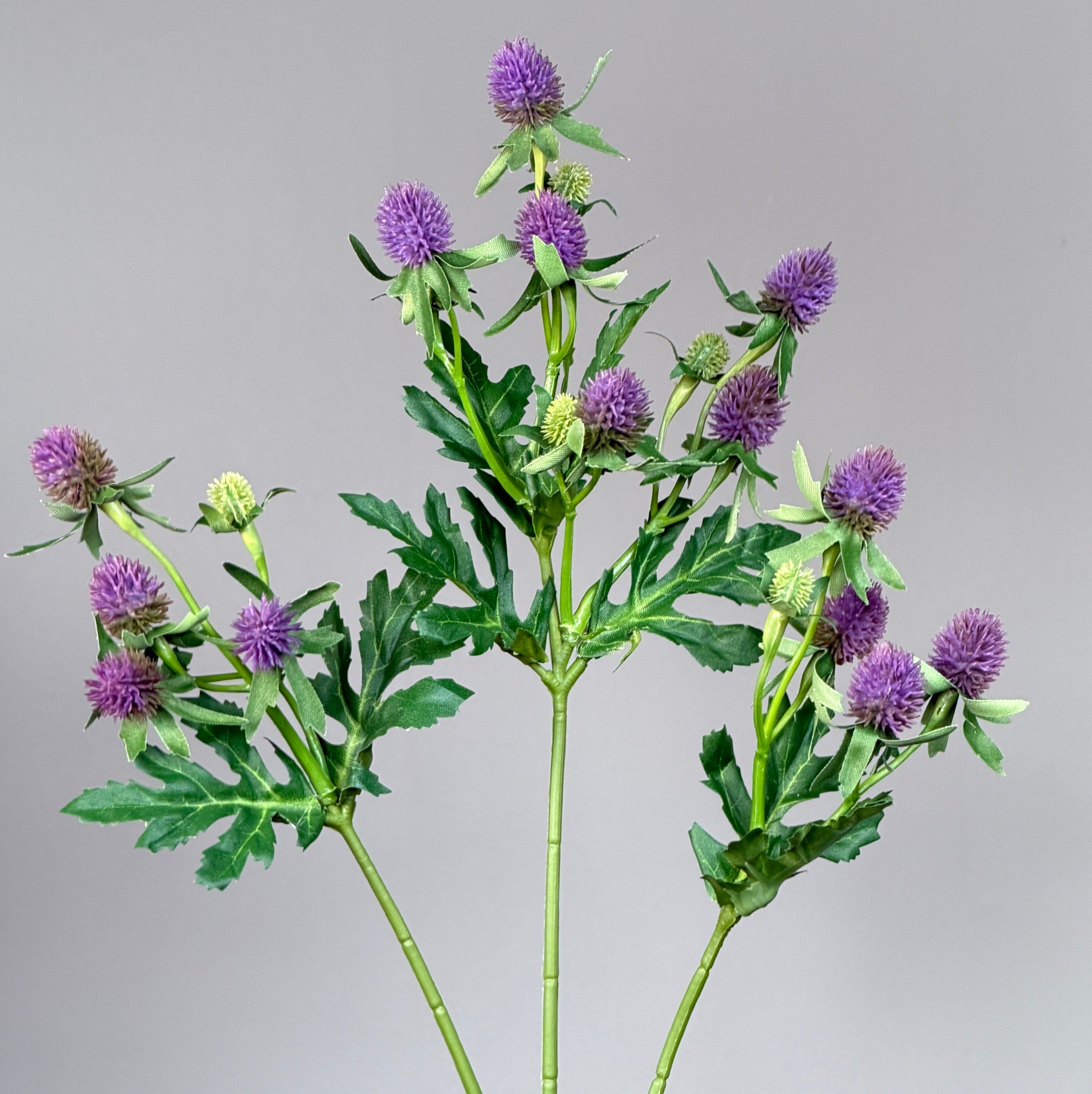 Thistle Stem - Purple