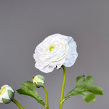 Luxury Ranunculus Flower "Real Touch" – White
