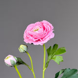 Luxury Ranunculus Flower "Real Touch" – Light Pink