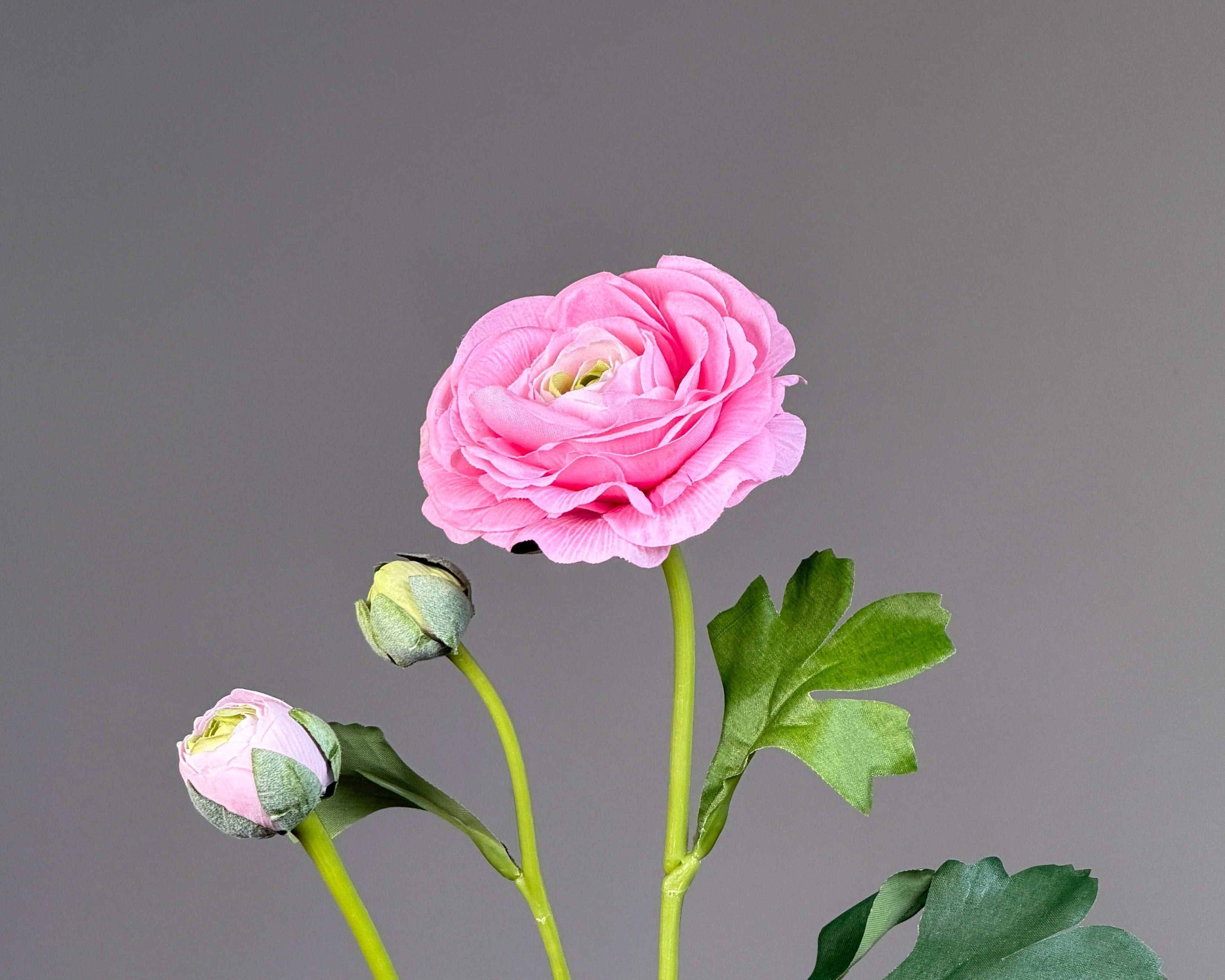 Luxury Ranunculus Flower "Real Touch" – Light Pink