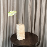 Flamingo Anthurium - White/Green