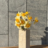 Grandiose Daffodil Bunch
